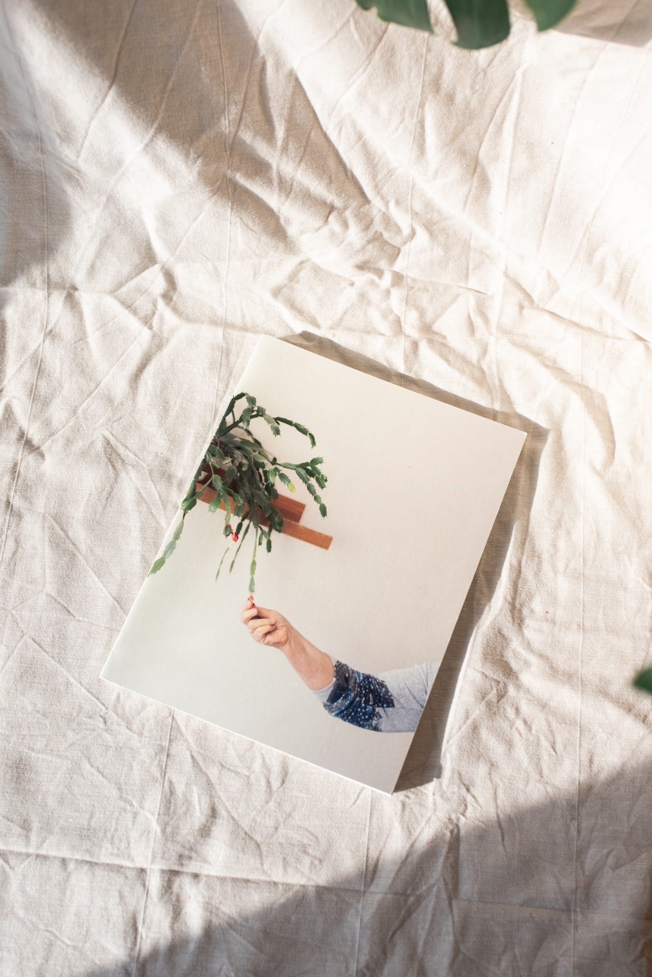 teta Lída - závěrečná práce